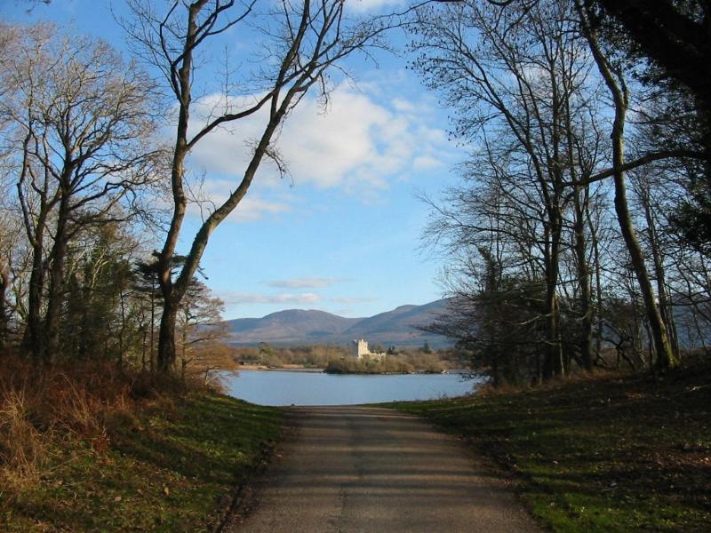 Crystal Springs B&B Killarney Eksteriør bilde