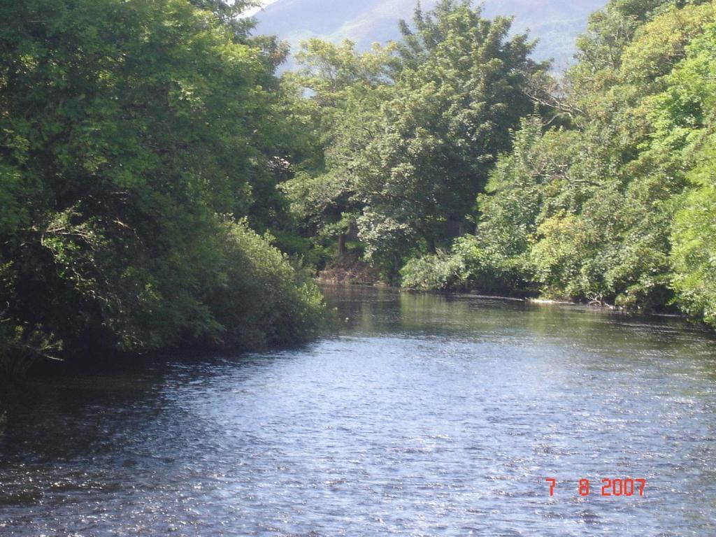 Crystal Springs B&B Killarney Eksteriør bilde
